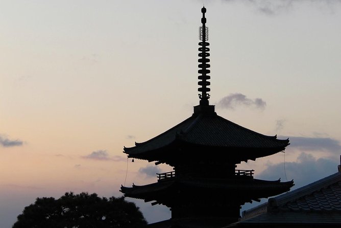 Authentic Kyoto Tea Ceremony: Camellia Flower Teahouse - Seating Options and Comfort: Chairs, Tables, and Floor Style