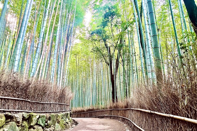 Bamboo Grove Temple and Garden Views Tour - Key highlights you will actually feel