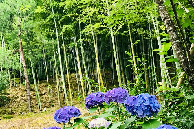 Bamboo LED Lantern Making Experience in Kyoto Arashiyama - Inside the workshop: choose your bamboo and your pattern