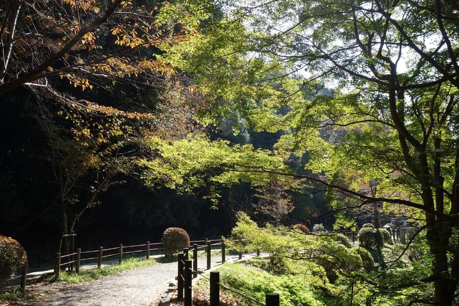 Best of Kyoto: Ginkakuji & Path of Philosophy E-Bike Tour - Ginkaku-ji: Zen garden calm with a guide that helps you see it