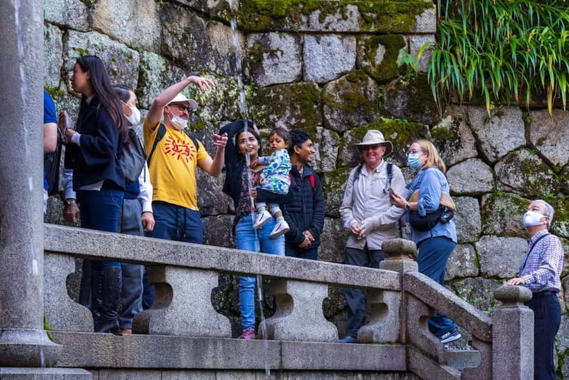 Best of Kyoto: Red Gates of Fushimi Inari & Kiyomizu Temple - Included transport and fees: where the “stress-free” part actually helps