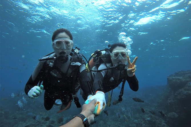 Blue Cave Area Experience Diving!Free feeding & photo images Chinese guide available!1 group with a dedicated instructor - Key highlights to know before you go