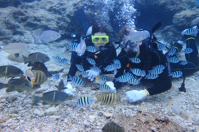 Blue Cave Area Experience Diving!Free feeding & photo images Chinese guide available!1 group with a dedicated instructor - Blue Cave versus Maeda Beach: understand the plan B early