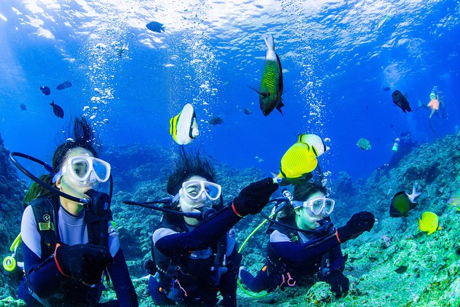 Blue Cave Introductory Dive–Private Guide, Boat Tour&Free Photos - Where the tour starts: a clean shop near Onna’s port