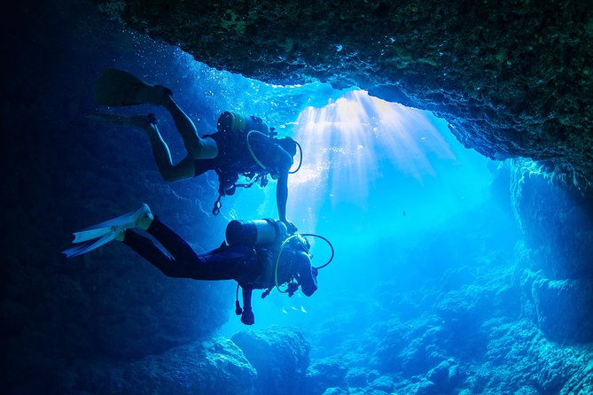 Blue Cave Introductory Dive–Private Guide, Boat Tour&Free Photos - Photos, fish feeding, and the easiest kind of souvenir