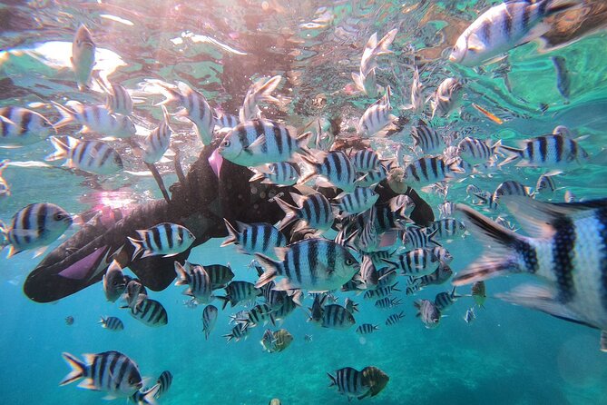 Blue Cave Private Snorkeling with Photoshoot - Why the Blue Cave plan might change on your day