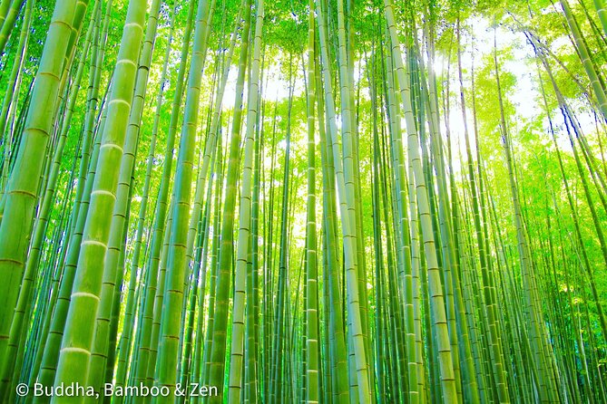 Buddha, Bamboo & Zen - Bespoke Kamakura Private Walking Tours - Meet at Kamakura Station, then let Brad steer