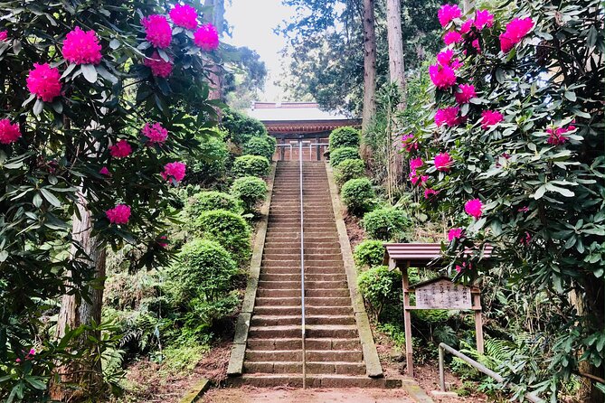 Buddha, Bamboo & Zen - Bespoke Kamakura Private Walking Tours - Stop 1: Kotoku-in, the Great Buddha you can’t fake