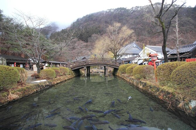 Chartered Private Tour - Tokyo to Nikko, Toshogu, Edo Wonderland - Lake Chuzenji and Futarasan Shrine, The Calmer Side of Nikko