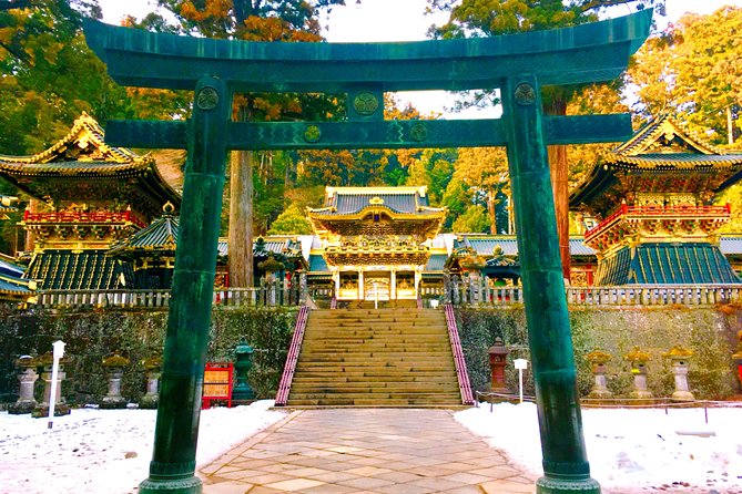 Chartered Private Tour - Tokyo to Nikko, Toshogu, Edo Wonderland - Ashikaga Flower Park and Berry’s Fan Strawberry Season Adds