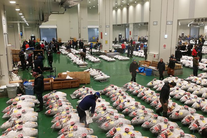 Complete Tuna Auction & Toyosu Fish Market Tour - Key things that make this tour worth your time