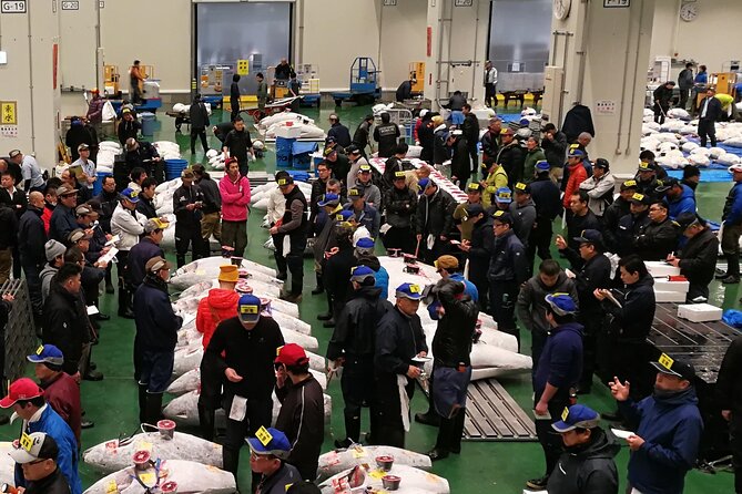 Complete Tuna Auction & Toyosu Fish Market Tour - The 4:30 am start, and how the morning actually plays out