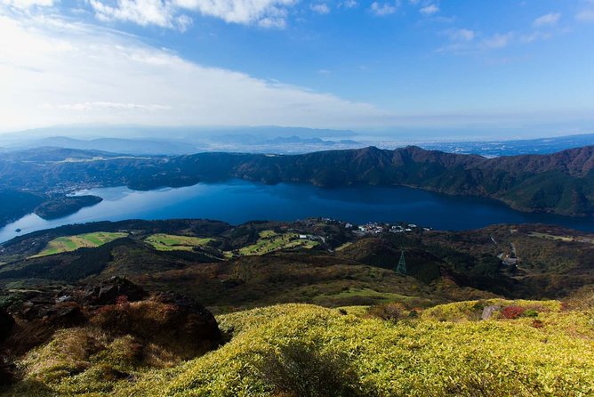 Custom Private Tour in Hakone with a Certified Local Guide - Hakone Shrine and the water torii you came for