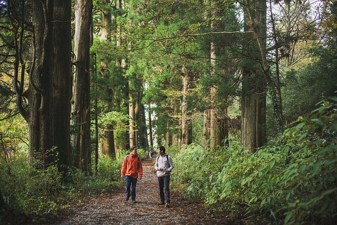 Custom Private Tour in Hakone with a Certified Local Guide - Owaku-dani, the Hell Valley stop, and how to plan for it