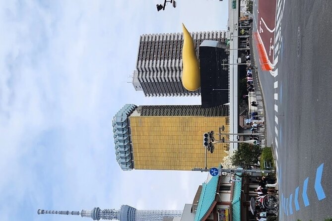 Day Private City Tour of Tokyo with English speaking driver - How to make this day feel smooth, not rushed