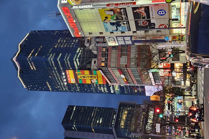 Day Private City Tour of Tokyo with English speaking driver - When this tour is a great fit