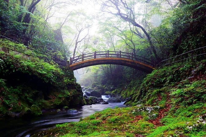 Day Tour to Miyazaki Takachiho Gorge & Shrine depart from Fukuoka - Why This Fukuoka Day Trip Feels Worth It