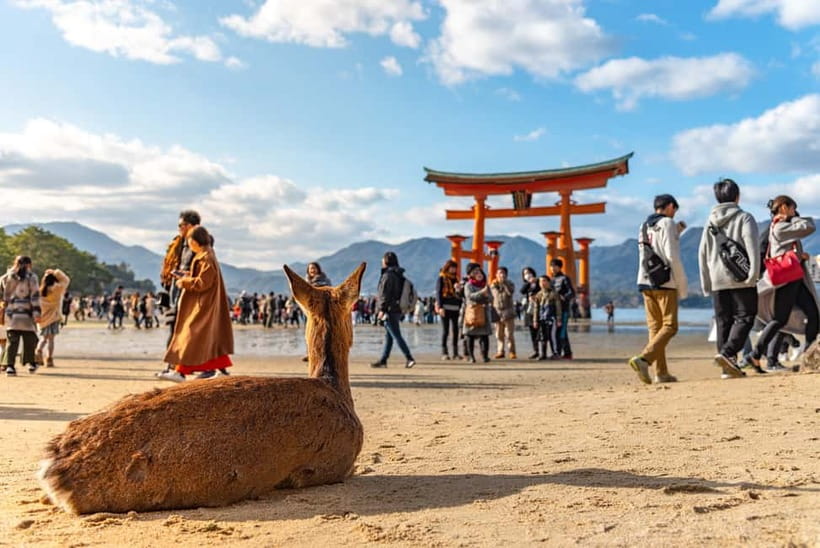 Day Trip to Hiroshima & Miyajima with Itsukushima Shrine - Timing breakdown: how the 8-hour day is carved up