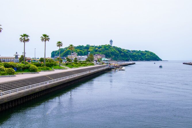 Day Trip to Kamakura & Enoshima: Shrines, Seaside, Temples & Tea - What the included tea, sweets, and koi feeding actually add up to