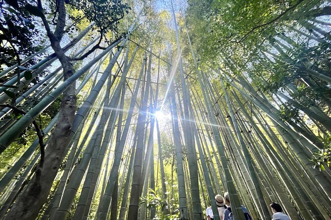 Day Trip to Kamakura & Enoshima: Shrines, Seaside, Temples & Tea - Timing and walking: what your feet should plan for