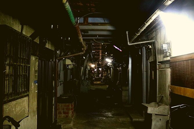 Deep Backstreet Osaka Tours (Option to add Dinner) - Price and Logistics: What You’re Really Paying For