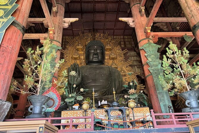 Discover Ancient Nara: Private Car Tour from Kyoto or Osaka - Naramachi Nigiwai-no-ie: Traditional Townhouses and Shopping Time
