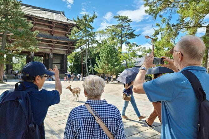 Discover Ancient Nara: Private Car Tour from Kyoto or Osaka - Lunch in a Local Japanese Restaurant, with Requests Welcome