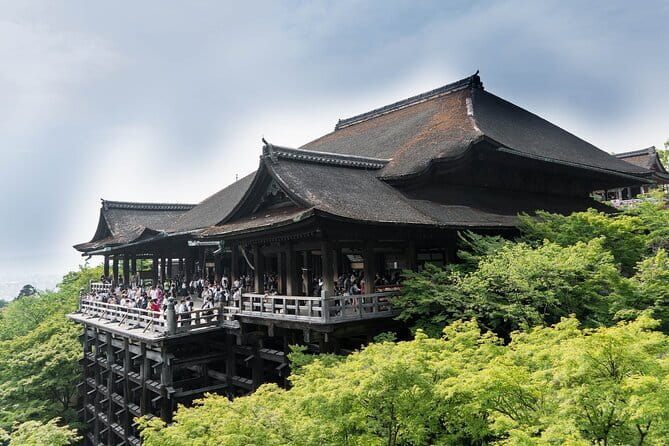 Discover Himeji, Kobe and Nara from Osaka - Meeting at Osaka Mode Gakuen, and why the ride feels low-stress