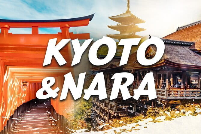Discover Himeji, Kobe and Nara from Osaka - Nara Park: deer photos first, Todai-ji on your terms