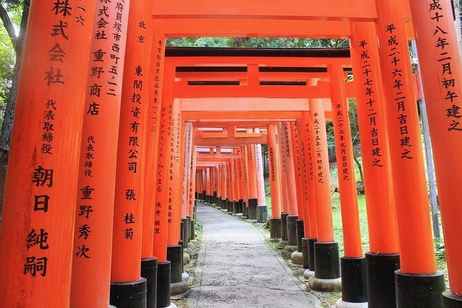 Discover Himeji, Kobe and Nara from Osaka - Price and value: what $91 really covers