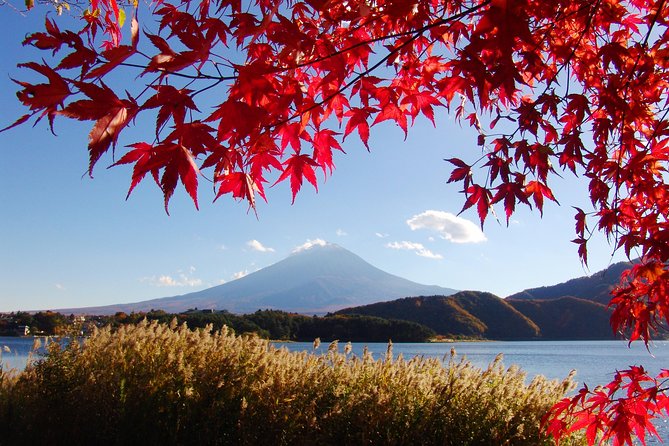 Discover Mt. Fuji 5th Station & Kawaguchiko Sightseeing Day Tour - Why This Fuji Day Trip Works So Well from Tokyo