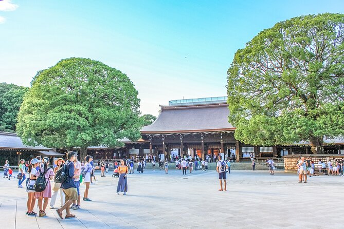 Discover Tokyo, Private Customized Tour with Expert Guides - Stop 2: Takeshita Street and Omotesando, fashion energy in full volume