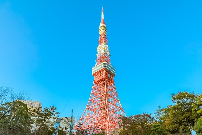 Discover Tokyo, Private Customized Tour with Expert Guides - Timing, walking, and what to bring so the day stays easy