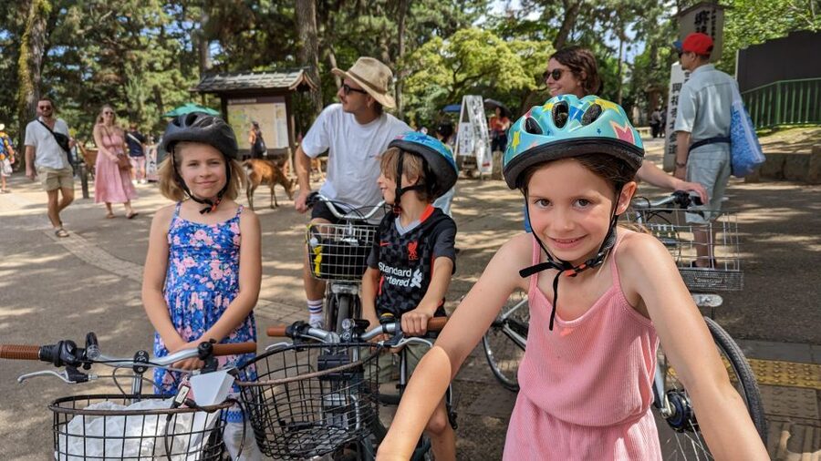 E-Bike Nara Highlights - Todaiji, Knives, Deer, Shrine - Nara Park on Two Wheels, Plus the Deer Feeding Etiquette