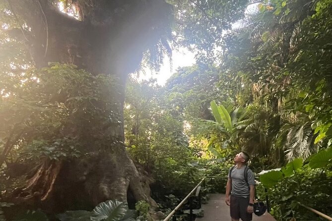 E-Bike Nature Tour in Shuri - Key Highlights to Know Before You Go