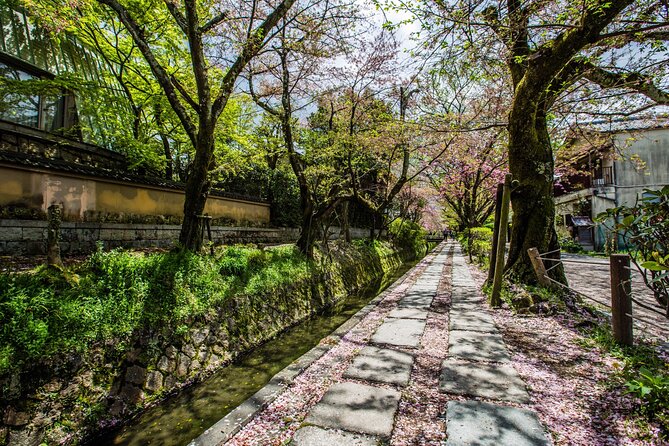 Early Bird E-biking through East Kyoto - Philosopher’s Path and Nanzen-ji: the beauty is real, but so is the pace