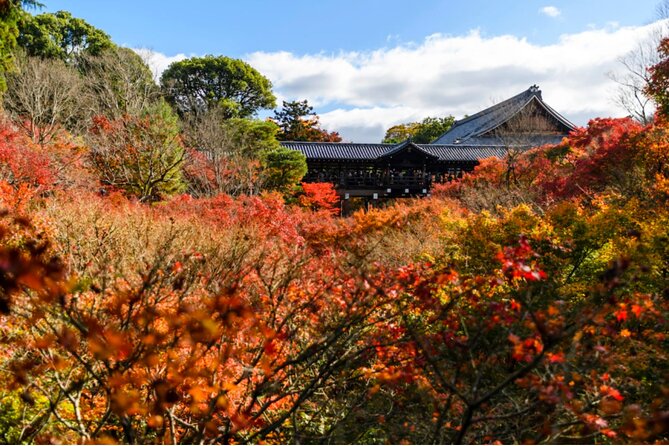 Early Bird E-biking through East Kyoto - Higashi Hongan-ji plus a favorite cafe break