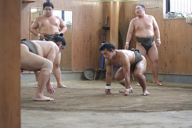 Experience the Sumo World in Tokyo - The guide makes the history click on the train