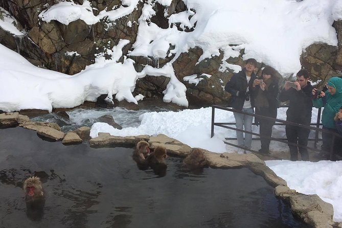 Explore Jigokudani Snow Monkey Park with a Local Guide - Jigokudani Fountain and the walk into Hell Valley