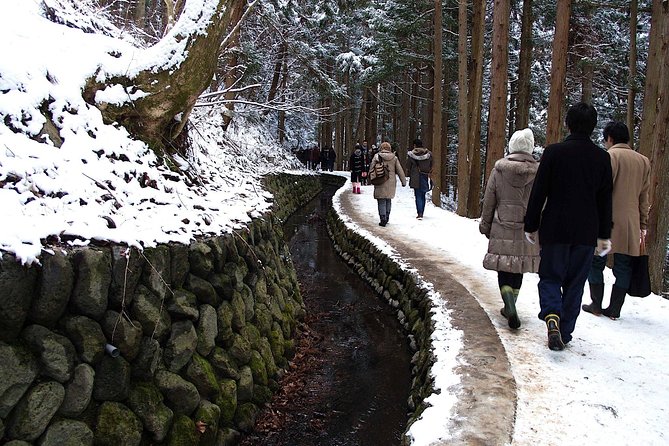 Explore Jigokudani Snow Monkey Park with a Local Guide - Snow monkeys in steaming onsen: how to watch well