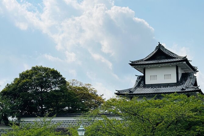 Explore Kanazawa Half Day Private Tour with Local Guide - Higashi Chaya District and Kaikaro: traditional streets, one focused hour