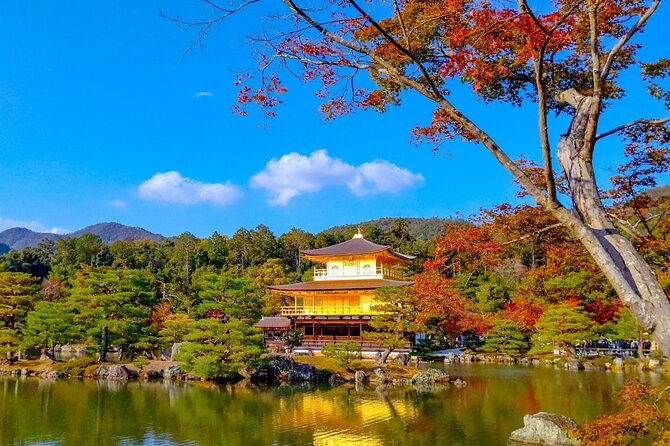 Explore Kyoto | Private Tour - Local English Driver(guide option) - The role of the driver: what you should and should not expect