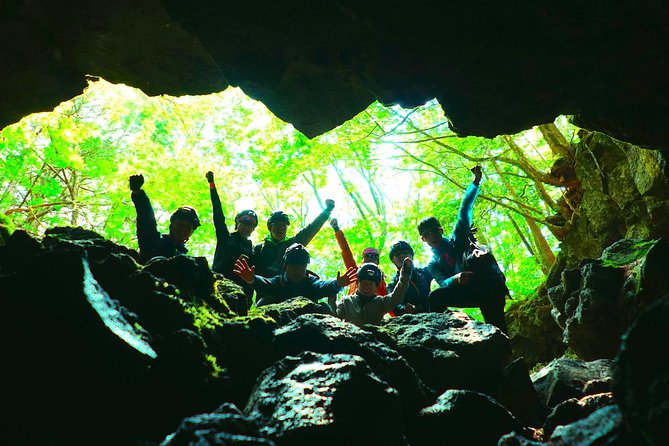 Explore Mt. Fuji Ice Cave in Aokigahara Forest - Mt. Fuji Ice Cave and Aokigahara Forest, Why This Tour Works