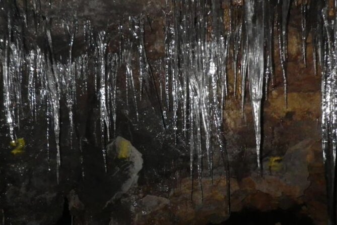 Exploring Mt Fuji Ice Cave and Sea of Trees Forest - Key things to know before you go