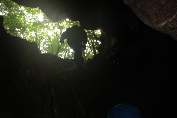 Exploring Mt Fuji Ice Cave and Sea of Trees Forest - Aokigahara Jukai: the Sea of Trees that starts with moss