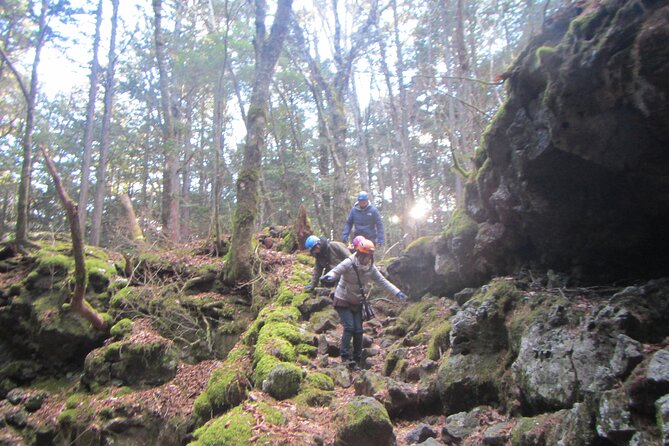 Exploring Mt Fuji Ice Cave and Sea of Trees Forest - The rare Mt. Fuji Ice Cave: what you’ll see underground