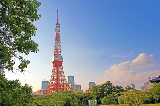 Freely set up plans Guided Private Tours in Tokyo - The real magic: a private guide who navigates Tokyo trains
