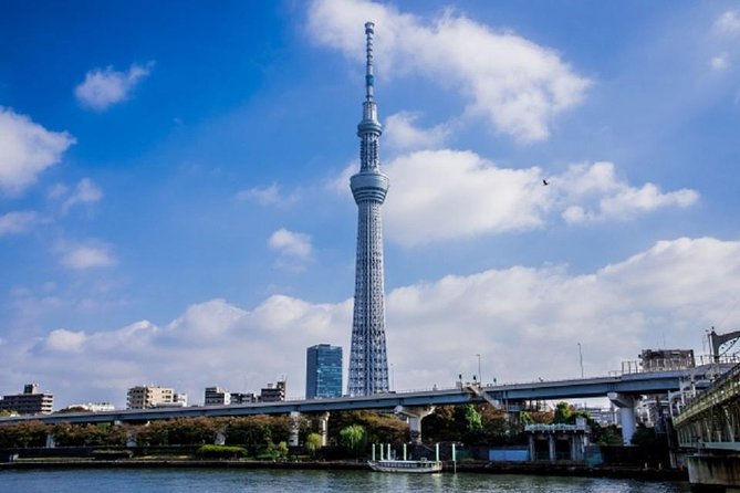 Freely set up plans Guided Private Tours in Tokyo - Tsukiji Jogai Market: food culture you can see and smell