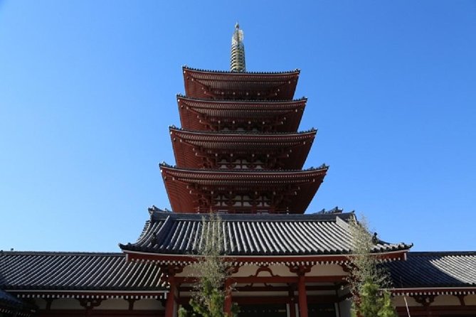 Freely set up plans Guided Private Tours in Tokyo - Ueno Zoo: a “different Tokyo” break from sightseeing lines