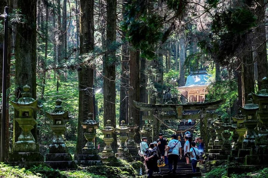From Fukuoka: Miyazaki, Takachiho Gorge and Shrines Day Tour - Key highlights you should not skip